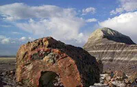 Petrified Forest National Park