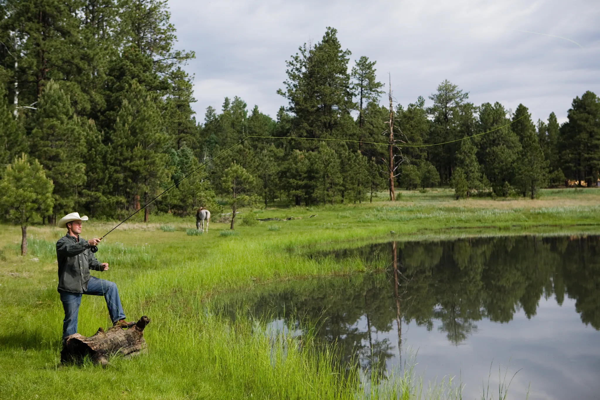 Pinetop-Lakeside Homes for Sale: The Higher Ground in Greer