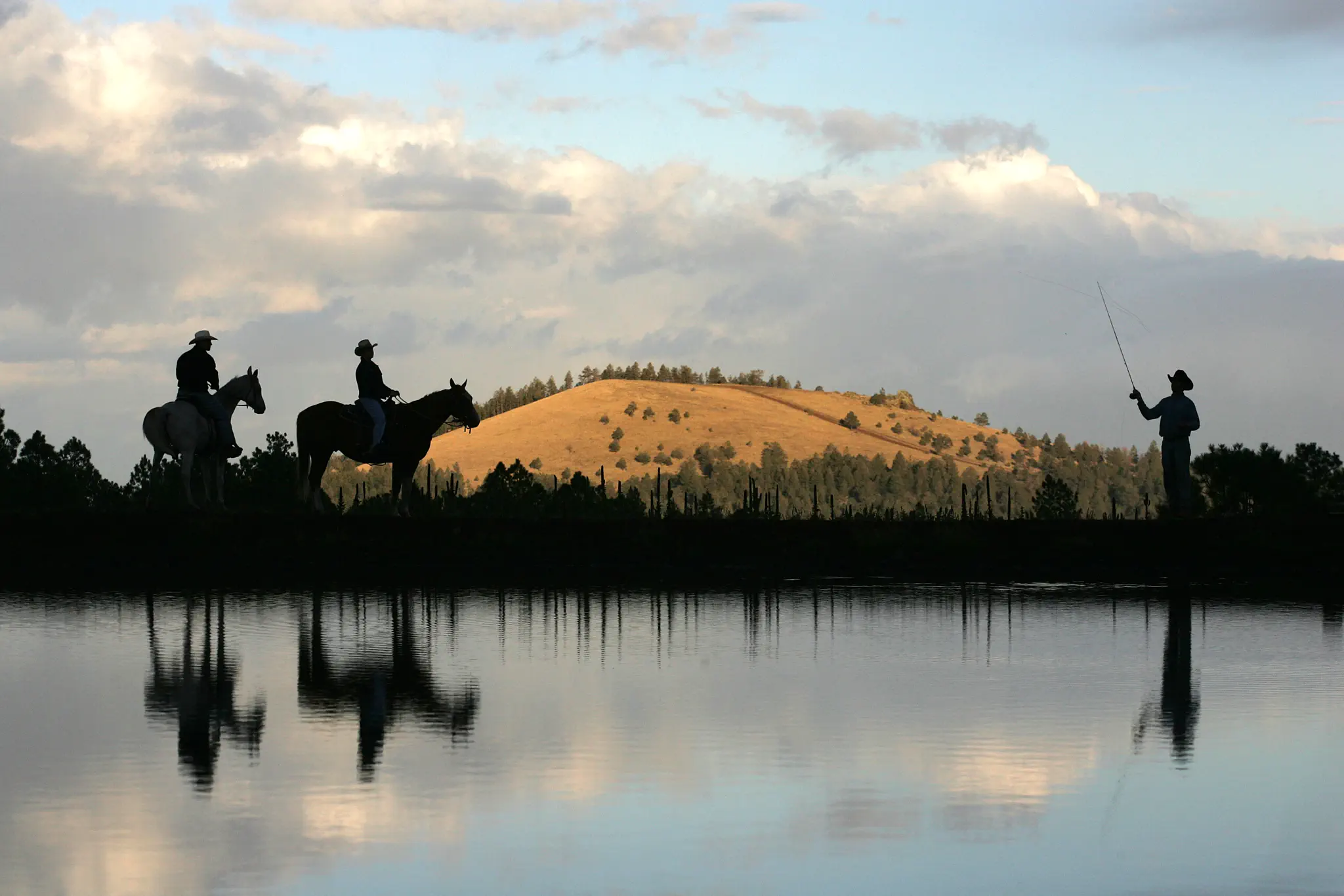 Pinetop Property for Sale: Lakeside Cabins, Homes and Land in the White Mountains