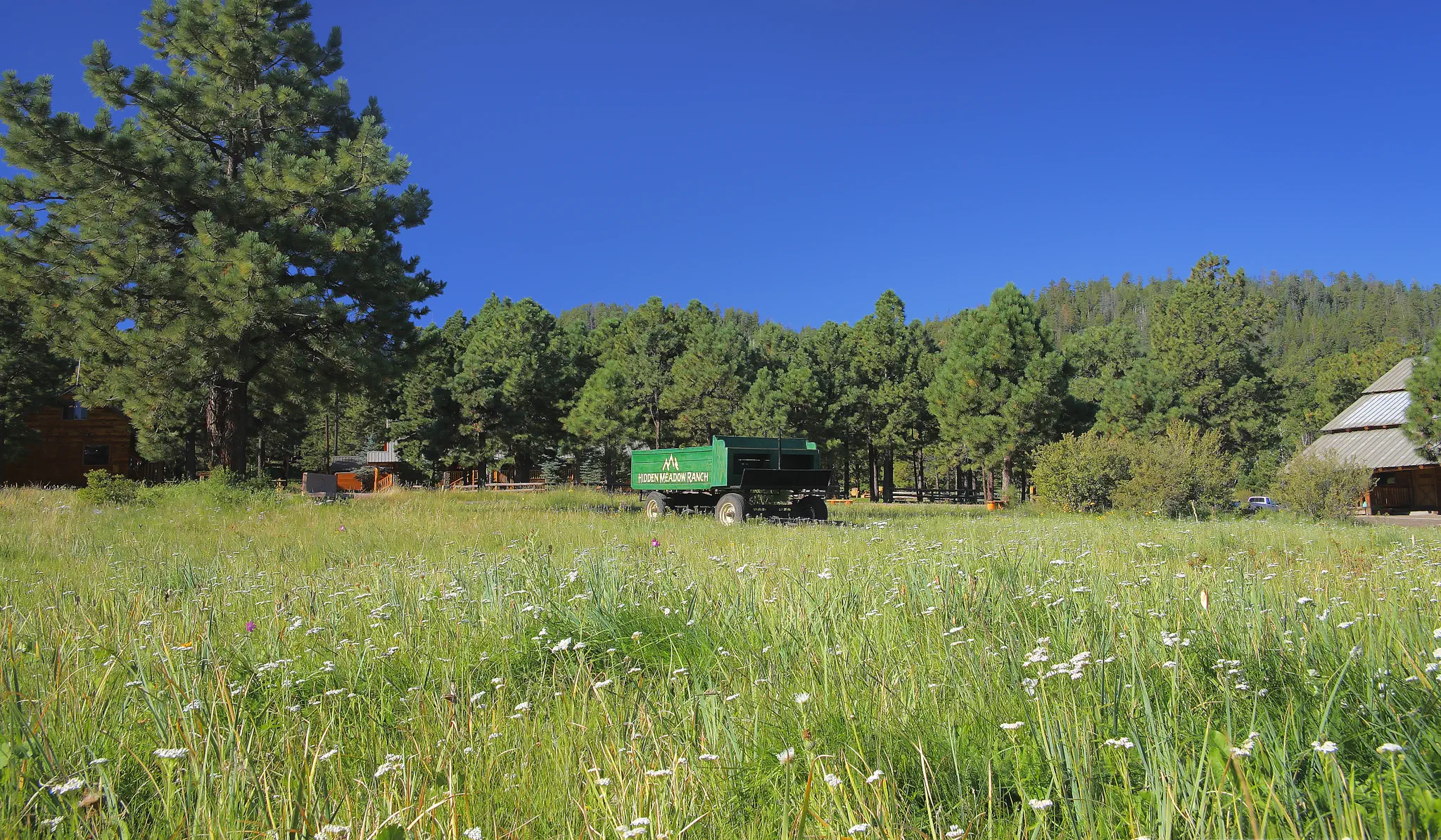 Hiking Trails in Pinetop, AZ: A Guide to the White Mountains on Foot