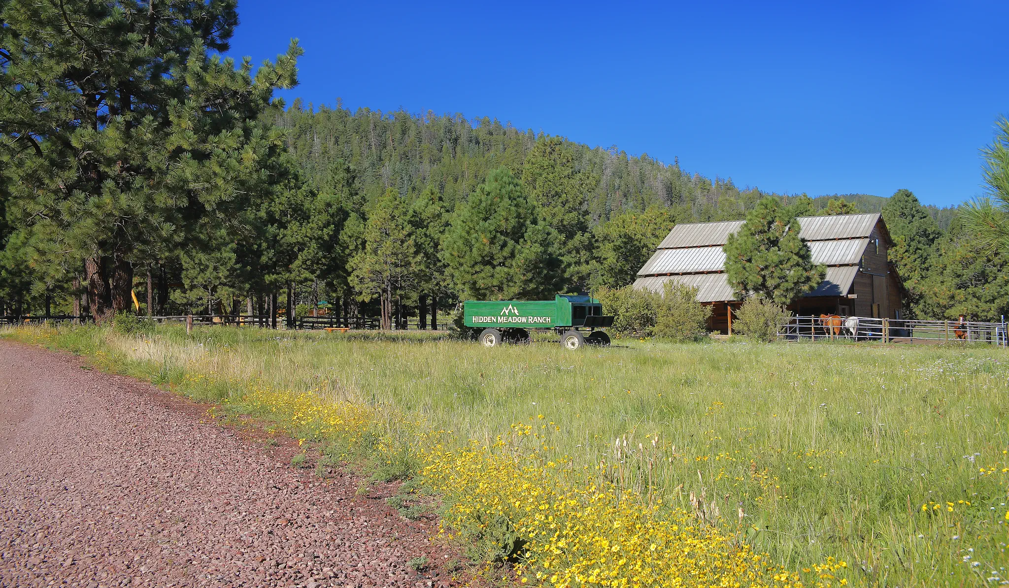 Pinetop Real Estate: A Market Guide to the White Mountains' Resort Town