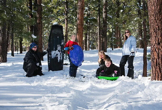 Dakota Cabin photo