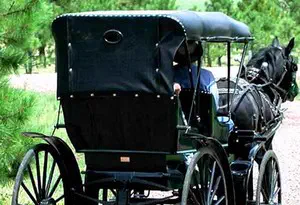 Horse-drawn carriage on the ranch