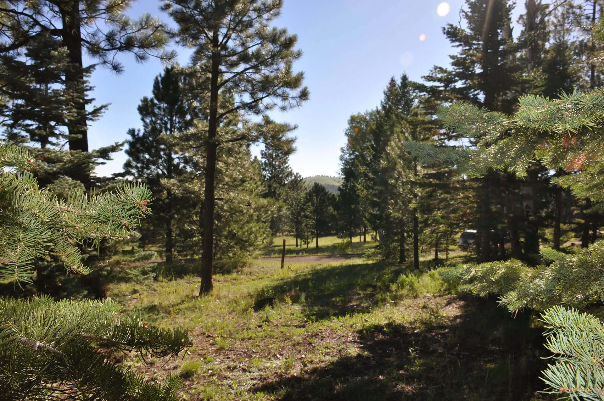 Home Site 10 N 1337