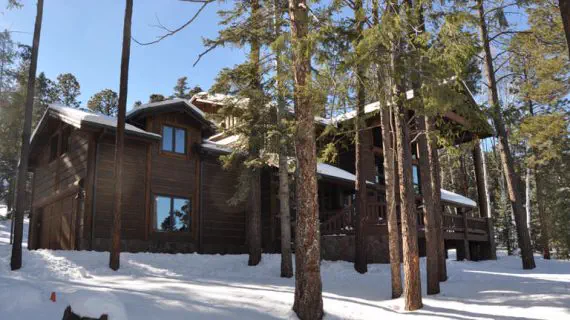 Ranch cabin among the pines in winter